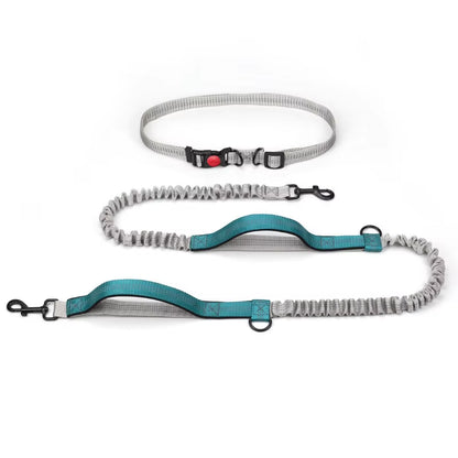 Hands Free Dog Leash Elastic Dog Running Belt Pet Bungee Rope Leashes Reflective Jop Dogs Training for Medium Large Dog Supplies