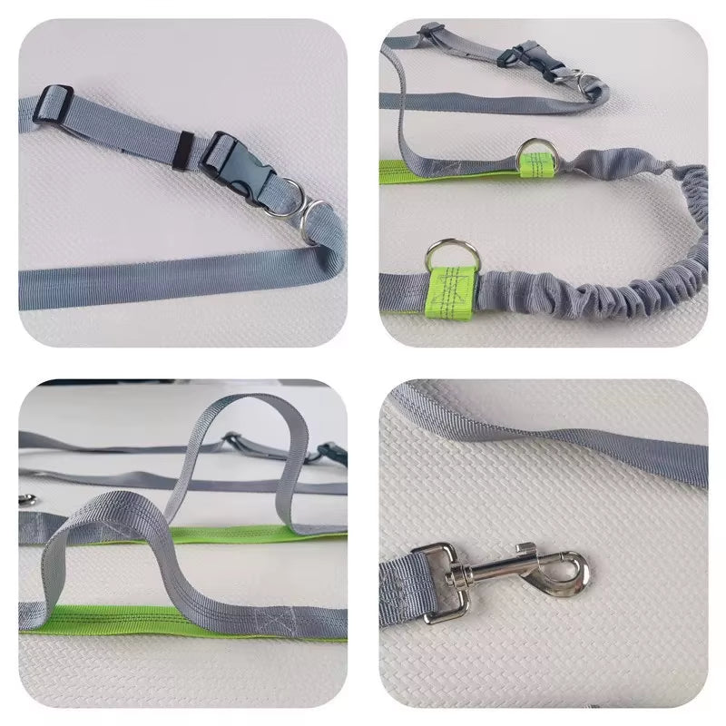 Hands Free Dog Leash Elastic Dog Running Belt Pet Bungee Rope Leashes Reflective Jop Dogs Training for Medium Large Dog Supplies