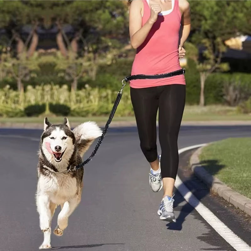 Hands Free Dog Leash Elastic Dog Running Belt Pet Bungee Rope Leashes Reflective Jop Dogs Training for Medium Large Dog Supplies