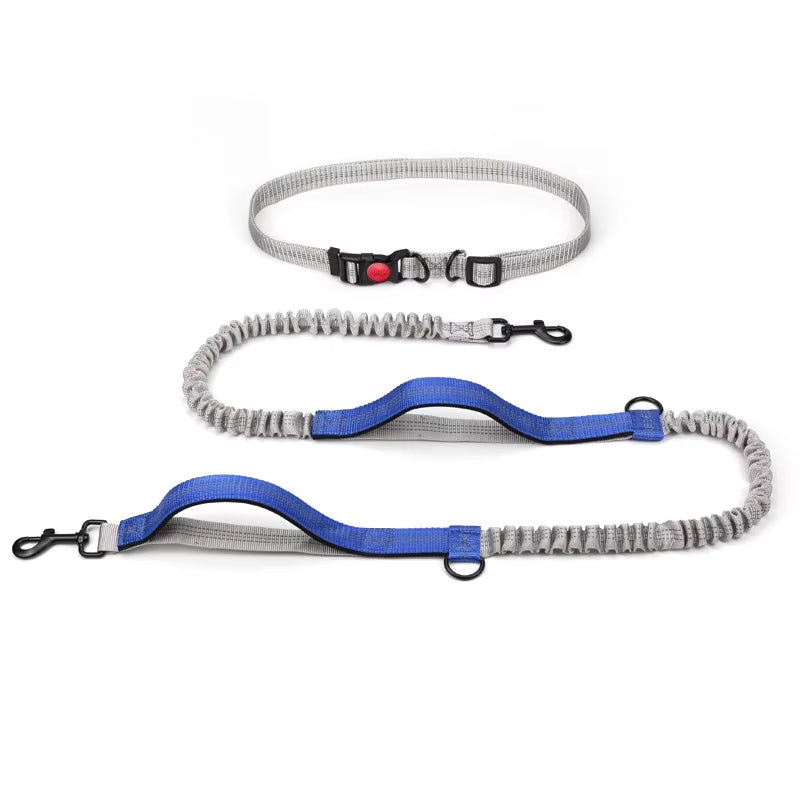 Hands Free Dog Leash Elastic Dog Running Belt Pet Bungee Rope Leashes Reflective Jop Dogs Training for Medium Large Dog Supplies