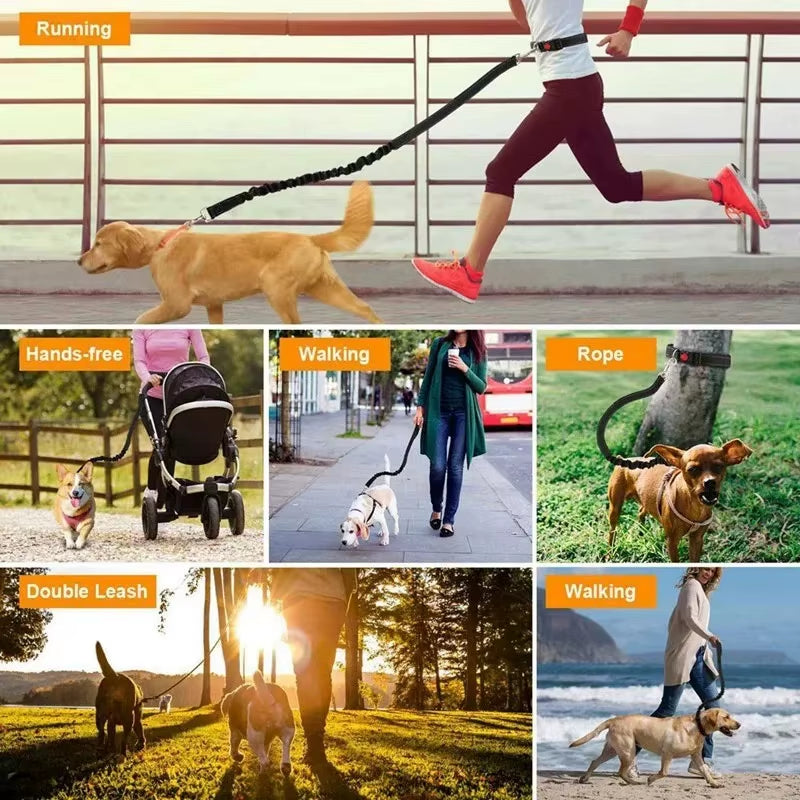 Hands Free Dog Leash Elastic Dog Running Belt Pet Bungee Rope Leashes Reflective Jop Dogs Training for Medium Large Dog Supplies