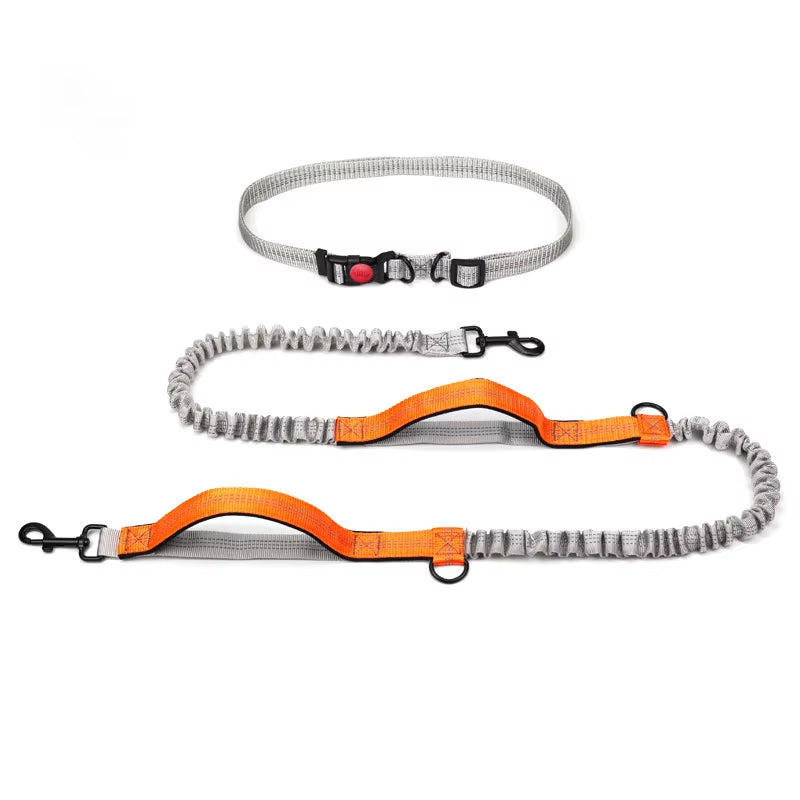 Hands Free Dog Leash Elastic Dog Running Belt Pet Bungee Rope Leashes Reflective Jop Dogs Training for Medium Large Dog Supplies