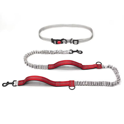 Hands Free Dog Leash Elastic Dog Running Belt Pet Bungee Rope Leashes Reflective Jop Dogs Training for Medium Large Dog Supplies